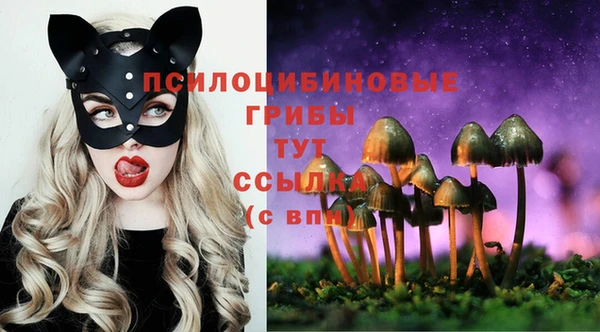 прущая мука Мегион
